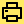 print icon